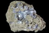 Purple/Gray Fluorite Cluster - Marblehead Quarry Ohio #81199-1
